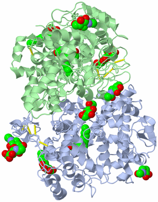 Image Biological Unit 1