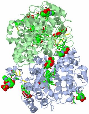 Image Biol. Unit 1 - sites