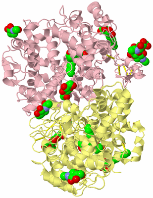 Image Biological Unit 2