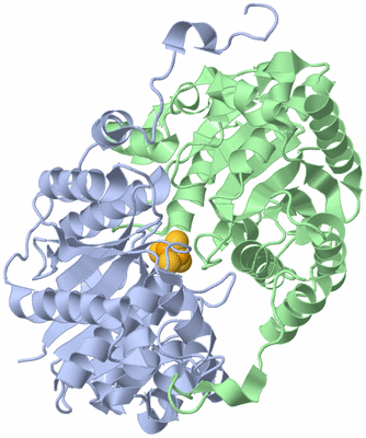 Image Asym./Biol. Unit