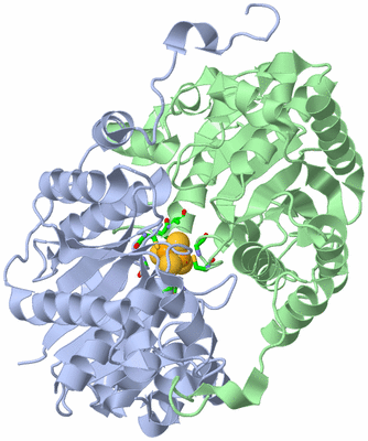 Image Asym./Biol. Unit - sites