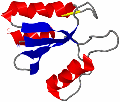 Image NMR Structure - model 1