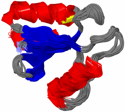 Image NMR Structure - all models