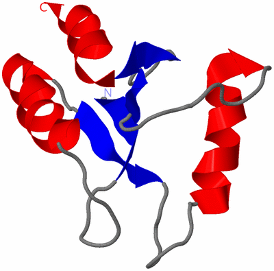 Image NMR Structure - model 1