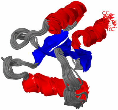 Image NMR Structure - all models