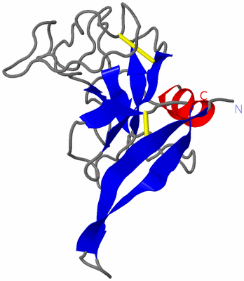 Image NMR Structure - model 1