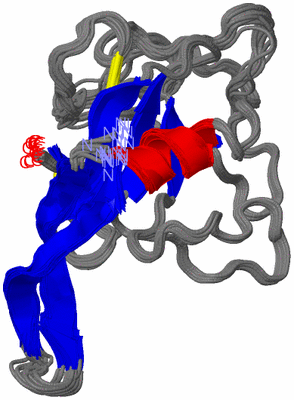 Image NMR Structure - all models