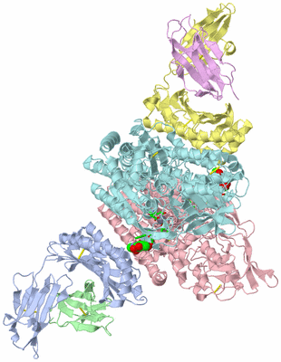 Image Biol. Unit 1 - sites