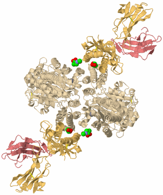 Image Biological Unit 2