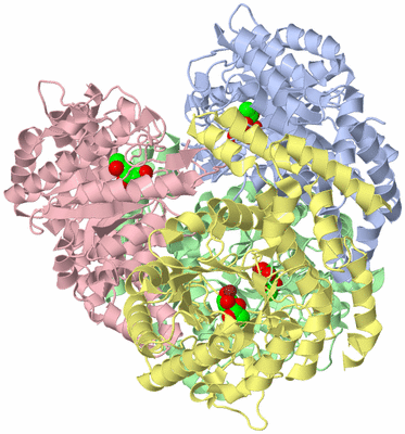 Image Asym./Biol. Unit