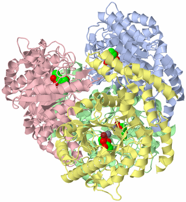 Image Asym./Biol. Unit