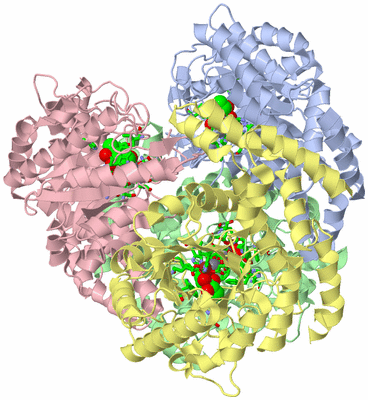 Image Asym./Biol. Unit - sites