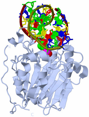 Image Biological Unit 1