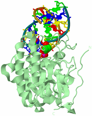 Image Biological Unit 2