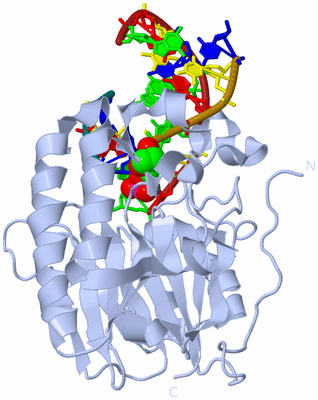 Image Biological Unit 1