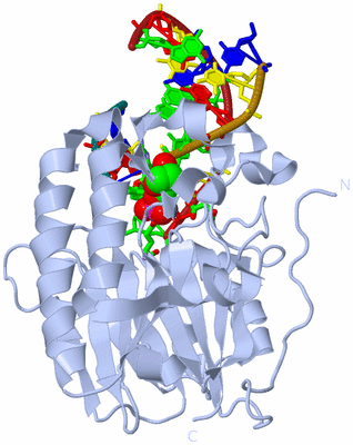 Image Biol. Unit 1 - sites