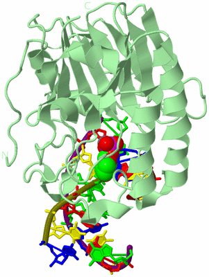 Image Biological Unit 2