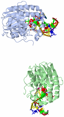 Image Asym. Unit - sites