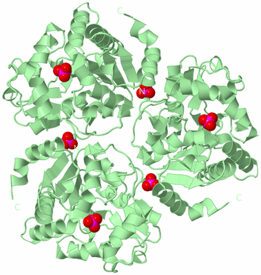 Image Biological Unit 3