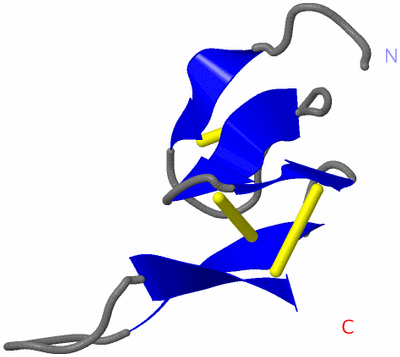 Image NMR Structure - model 1