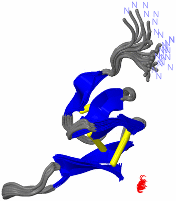 Image NMR Structure - all models