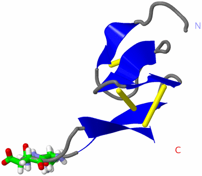 Image NMR Structure - model 1, sites