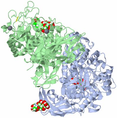 Image Asym./Biol. Unit