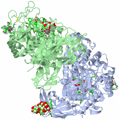 Image Asym./Biol. Unit - sites