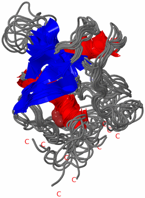 Image NMR Structure - all models