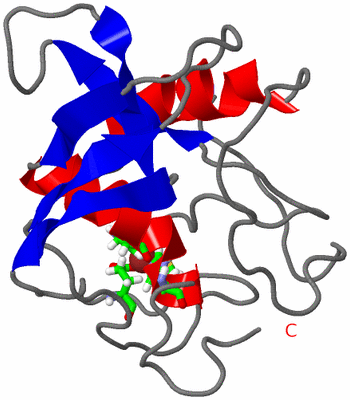 Image NMR Structure - model 1, sites