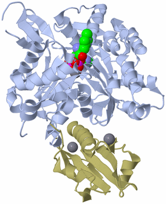 Image Asym./Biol. Unit