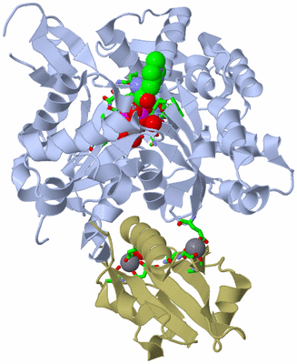 Image Asym./Biol. Unit - sites