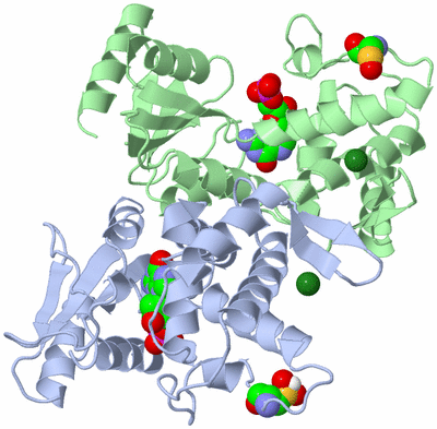 Image Asym./Biol. Unit