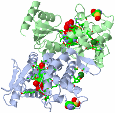 Image Asym./Biol. Unit - sites