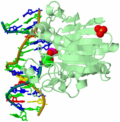 Image Biological Unit 1