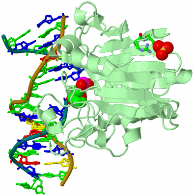 Image Biol. Unit 1 - sites