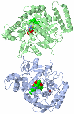 Image Asymmetric Unit