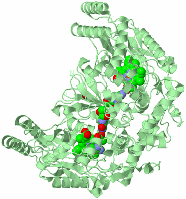 Image Biological Unit 2