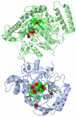 Image Asym. Unit - sites