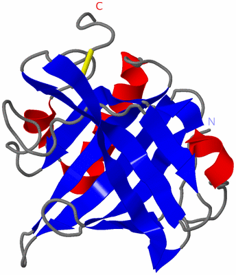 Image NMR Structure - model 1