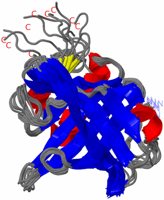 Image NMR Structure - all models