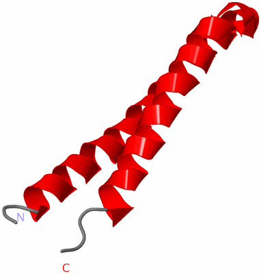 Image Asymmetric Unit