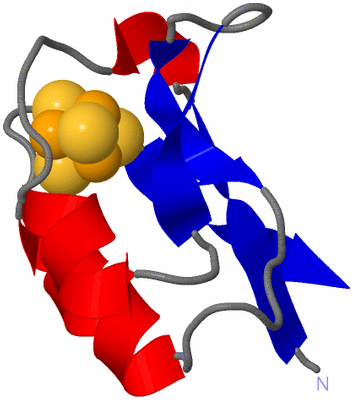 Image NMR Structure - model 1