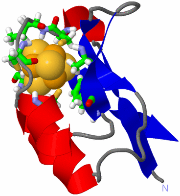 Image NMR Structure - model 1, sites