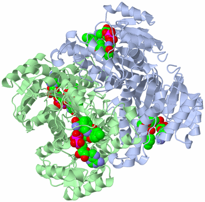 Image Biological Unit 1