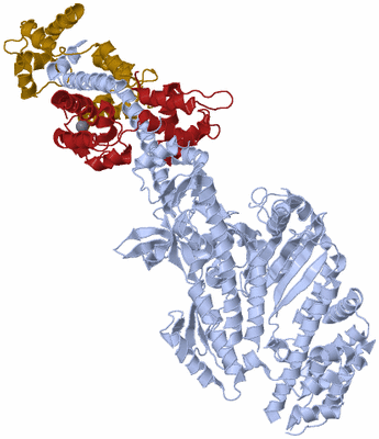 Image Asym./Biol. Unit