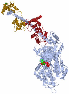 Image Biological Unit 1