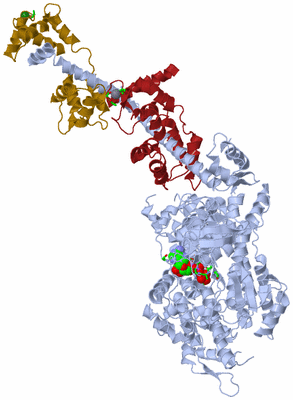 Image Biol. Unit 1 - sites