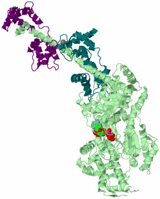 Image Biological Unit 2