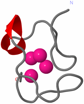 Image NMR Structure - model 1